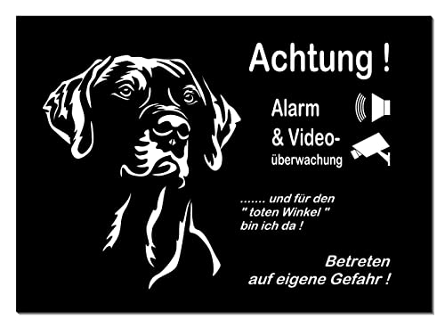 Rhodesian Ridgeback-Alarm + Videoüberwacht-Hund-Schild-Hundeschild- 3 Größen-Aluminium-Hunde-Tierschild-Warnschild-Hinweisschild (1451-137=30x20 cm mit 4 Löcher) von Generisch
