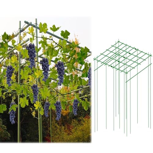 Robuste quadratische Metallspalierpfähle für Ranken- und Pflanzenklettern, ideale Unterstützung für Garten, Hinterhof, Pergola, Blumen und Gurkenwachstum von Generisch