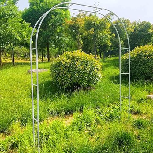 Robuster Metall-Gartenbogen, Hochzeits-Pergola-Spalier, einfach zu montieren, für Kletterpflanzen Robuster Metall-Gartenbogen, Hochzeits-Pergola-Spalier, einfach zu montieren, für Kletterpflanzen von Generisch