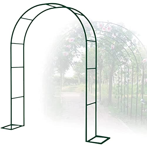 Robuster Metall-Gartenbogen – 180 x 220 cm Rose & Traube Rankgitter für Kletterpflanzen Outdoor Rasen Dekoration Gartenlaube Torbogen in Grün von Generisch