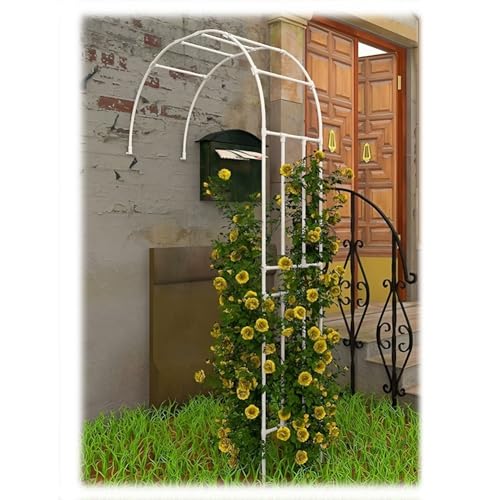Robuster Stahl-Gartenbogen-Rankgitter, Wandmontage, Pergola-Ständer für Kletterpflanzen, perfekte Rasen-Hinterhof-Terrassen-Dekoration Robuster Stahl-Gartenbogen-Rankgitter, Wandmontage, Pergola-Ständer für Kletterpflanzen, perfekte Rasen-Hinterhof-Terrassen-Dekoration von Generisch