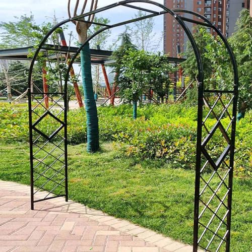 Robustes Rankgitter aus Metall, stabile Unterstützung für Kletterpflanzen, Pergola und Laube für Wege und Eingänge, robustes Rohr-Design von Generisch