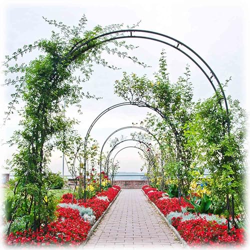 Rosenbogen Gartenlaube für Kletterpflanzen Verstellbare Breite Elegant Outdoor Indoor Landschaft Rankgitter Rosenbogen Gartenlaube für Kletterpflanzen Verstellbare Breite Elegant Outdoor Indoor Landschaft Rankgitter von Generisch