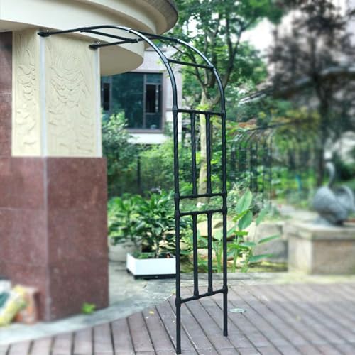Rosenbogen aus Metall, 300 cm, Rankgitter für Garten, Halbbogen-Design für Kletterpflanzen, Blumen und Reben, langlebige Outdoor-Dekoration, B 300 x H 240 cm Rosenbogen aus Metall, 300 cm, Rankgitter für Garten, Halbbogen-Design für Kletterpflanzen, Blumen und Reben, langlebige Outdoor-Dekoration, B 300 x H 240 cm von Generisch