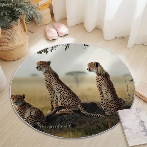 Rund Teppich Kurzflor Natürliches Tier Gepard Design, ø 90 cm, waschbar Wohnzimmerteppich rutschfest, weich für Wohnzimmer Schlafzimmer Zuhause Büro, Braun Rund Teppich Kurzflor Natürliches Tier Gepard Design, ø 90 cm, waschbar Wohnzimmerteppich rutschfest, weich für Wohnzimmer Schlafzimmer Zuhause Büro, Braun von Generisch