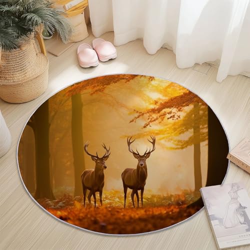 Runder Teppich für Wohnzimmer 160 cm, Natur Wald Tiere Hirsch Thema Flanell Kurzflor Runde Teppiche - Orange Farbe rutschfest Waschbar Teppich für Küche Schlafzimmer Kinderzimmer Runder Teppich für Wohnzimmer 160 cm, Natur Wald Tiere Hirsch Thema Flanell Kurzflor Runde Teppiche - Orange Farbe rutschfest Waschbar Teppich für Küche Schlafzimmer Kinderzimmer von Generisch