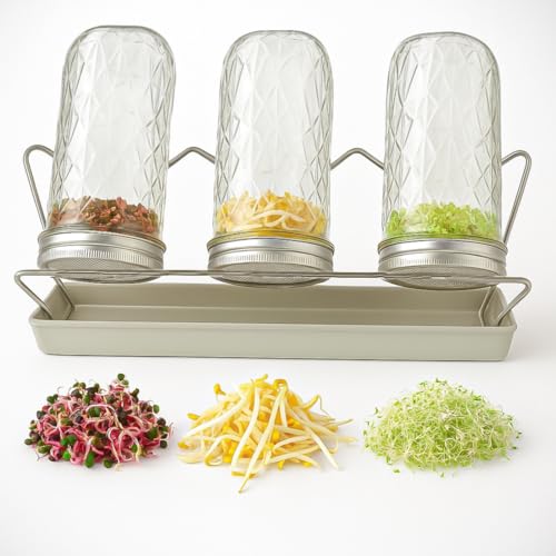 SPROUTATION Sprossenglas 3er Set – hochwertiges Keimglas mit Diamantschliff, rostfreier Edelstahl-Siebdeckel, Abtropfgestell und Abtropfwanne – paralleles Anzuchtset für Sprossensamen und microgreens von Generisch
