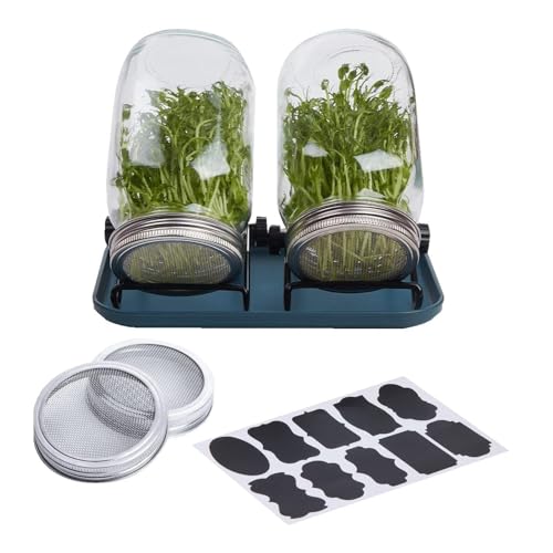 Saatgut-Keimglas-Set – Saatgut-Keimglas-Keimungsset | Einmachglas-Sprossen-Set, Quart-Einmachgläser Mit Breiter Öffnung, Edelstahlständer Und Tablett Für Den Anbau Von Sojasprossen, Brokkolisamen, Luz von Generisch