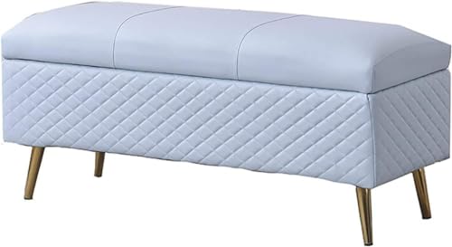 Samt Ottomane Bank mit Stauraum, Moderne gepolsterte Metallbeine, Multifunktionsmöbel für Schlafzimmer, Wohnzimmer, Eingang von Generisch