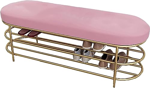 Schuhablage für den Eingangsbereich, mit 2-stöckigen Ablagen und Sitzkissen, ideal für Flur, Wohnzimmer oder Bettende Schuhablage für den Eingangsbereich, mit 2-stöckigen Ablagen und Sitzkissen, ideal für Flur, Wohnzimmer oder Bettende von Generisch