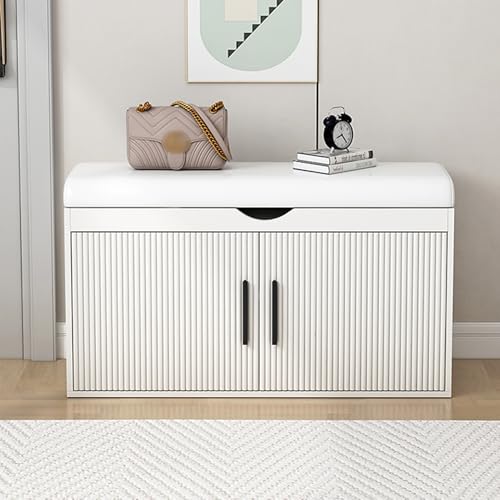 Schuhbank mit Klappdeckel, 2-stöckiges Schuhregal, Eingangsbereich und Wohnzimmerschrank, platzsparendes Design (100 x 32 x 42 cm) – stilvoll und funktional von Generisch