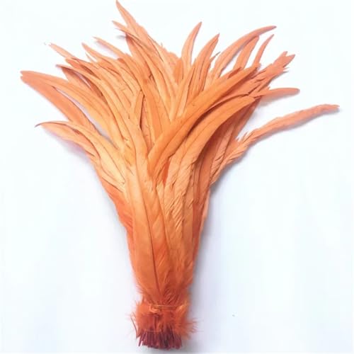 Schwarze Hahnschwanzfedern, 40–45 cm, lange Hahnfedern zum Basteln, Hochzeitsfedern, Dekoration, DIY, Orange, 500 Stück Schwarze Hahnschwanzfedern, 40–45 cm, lange Hahnfedern zum Basteln, Hochzeitsfedern, Dekoration, DIY, Orange, 500 Stück von Generisch