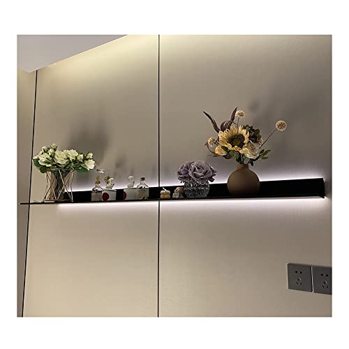 Schwebendes LED-Wandregal aus Aluminium für Pflanzen und Bücher, 150 cm, schwarz, für den Innenbereich, moderne Dekoration für Zuhause und Büro Schwebendes LED-Wandregal aus Aluminium für Pflanzen und Bücher, 150 cm, schwarz, für den Innenbereich, moderne Dekoration für Zuhause und Büro von Generisch