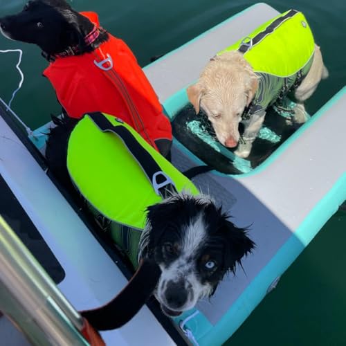 Schwimmendes Hunde-Dock mit D-Ring, robuste Poolrampe Haustiere, tragbare Wasserplattform für Boote und Pools von Generisch