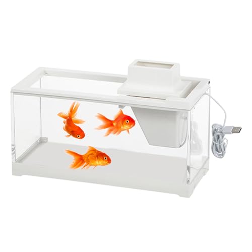Serbero Di Pesce Desktop-Aquarium für den Tisch mit integrierter Pumpe, LED-Licht und großer Öffnung, leiser Betrieb für Büros, Regale für Schlafzimmer, Tische Serbero Di Pesce Desktop-Aquarium für den Tisch mit integrierter Pumpe, LED-Licht und großer Öffnung, leiser Betrieb für Büros, Regale für Schlafzimmer, Tische von Generisch