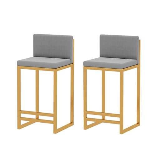 Set mit 2 Metall-Barhockern mit Rückenlehne und Fußstütze, weiches Kissen, Esszimmerstühle für Küche, Büro, Studio, Pub, 60 cm, Grau, modernes Design von Generisch