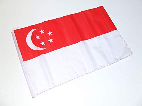 Singapure Singapur Flagge/Fahne 30x45 cm von VWPEYY