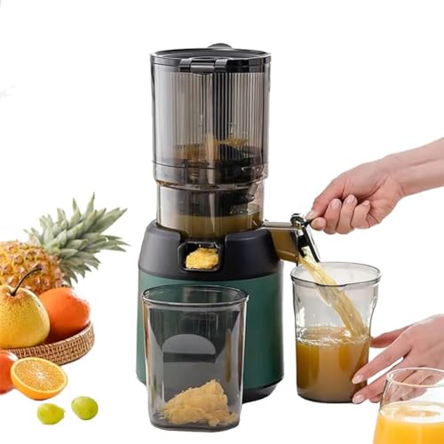 Slow Juicer, Masticating Juicer with Wide Feeding Chute, Cold Press for Fruits and Vegetables, Efficient Trester Separation, Quiet Operation von Generisch