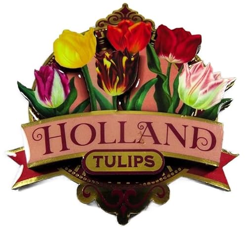 Souvenir Magnet Holland Tulips 10x 9 x 1 cm Tulpen Deko GMTX 12022 von Generisch