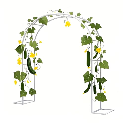 Stahl Gartenbogen Rankhilfe für Kletterpflanzen, Metall Pergola für Terrasse und Hinterhof, Hochzeitsbogen, Stützstruktur, langlebiges und stilvolles Design von Generisch