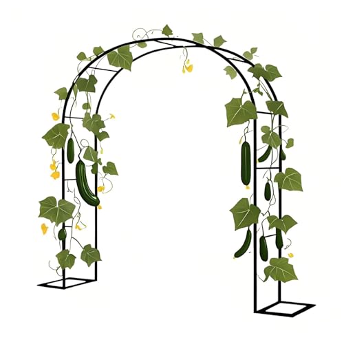 Stahl Gartenbogen Rankhilfe für Kletterpflanzen, Metall Pergola für Terrasse und Hinterhof, Hochzeitsbogen, Stützstruktur, langlebiges und stilvolles Design von Generisch