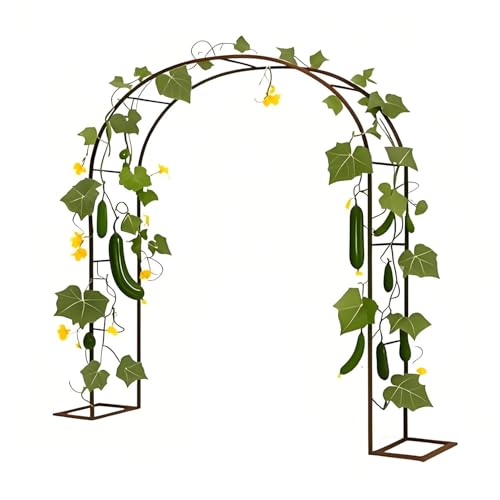Stahl Gartenbogen Rankhilfe für Kletterpflanzen, Metall Pergola für Terrasse und Hinterhof, Hochzeitsbogen, Stützstruktur, langlebiges und stilvolles Design von Generisch