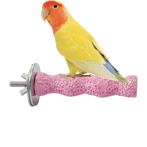 Stangenstein - Calcium Schleifstein, Natürlicher Kaustab | Kauspielzeug Wellensittich Nymphensittich, Zahnmahlstein Lorikeet Conure, Schnabelpflege Schleifspielzeug Schnabelschleifen, Maulpf Stangenstein - Calcium Schleifstein, Natürlicher Kaustab | Kauspielzeug Wellensittich Nymphensittich, Zahnmahlstein Lorikeet Conure, Schnabelpflege Schleifspielzeug Schnabelschleifen, Maulpf von Generisch