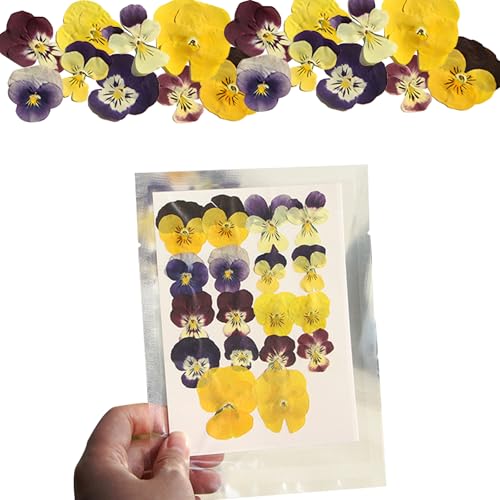 Stiefmütterchen – 18er Set Getrocknete Blumen | Natürliche Trockenblumen für Dekoration, Hochzeit & DIY-Projekte Stiefmütterchen – 18er Set Getrocknete Blumen | Natürliche Trockenblumen für Dekoration, Hochzeit & DIY-Projekte von Generisch