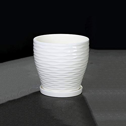Sukkulenten-Übertopf für den Innenbereich mit Ablaufloch – einfacher weißer Blumentopf für Kakteen und Fleischpflanzen – Heimdekor-Behälter für den Innen- und Garten – 3–14 cm x 14,5 cm von Generisch