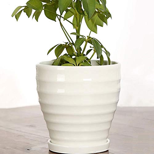Sukkulenten-Übertopf für den Innenbereich mit Ablaufloch – einfacher weißer Blumentopf für Kakteen und Pflanzen – moderner Wohndekor-Behälter für den Innen- und Garten – 20,5 cm x 20 cm von Generisch