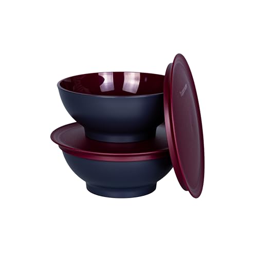 TW Allegra Schüssel 2x 275 ml merolt rot anthrazit Servierschüssel Dessertschälchen (inkl. 1x Deko-Tier) von Generisch