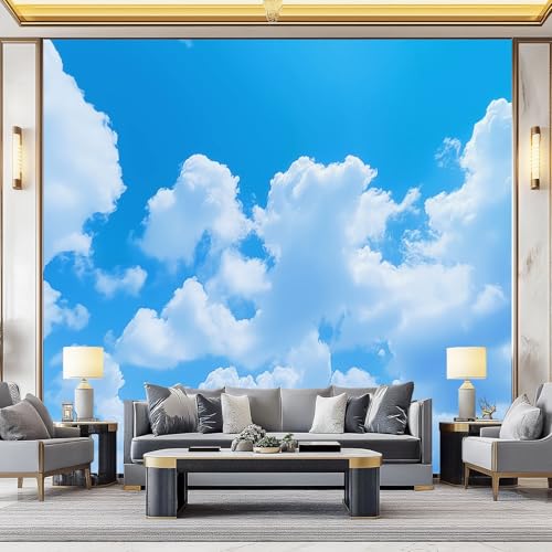Tapete Kinderzimmer - Natur Himmel Weiße Wolken Wanddekoration Fototapete für Wohnzimmer TV Hintergrundwand, Blau Tapete für Schlafzimmer Büro Flur 300 x 210 cm Tapete Kinderzimmer - Natur Himmel Weiße Wolken Wanddekoration Fototapete für Wohnzimmer TV Hintergrundwand, Blau Tapete für Schlafzimmer Büro Flur 300 x 210 cm von Generisch