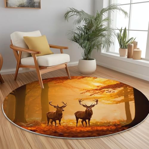 Teppich Rund Fotografie Stil 150cm, Weich Waschbar rutschfest Teppiche Natur Wald Tiere Hirsch Kurzflor Bedruckter Teppich Geeignet für Wohnzimmer Schlafzimmer Orange Farbe Teppich Rund Fotografie Stil 150cm, Weich Waschbar rutschfest Teppiche Natur Wald Tiere Hirsch Kurzflor Bedruckter Teppich Geeignet für Wohnzimmer Schlafzimmer Orange Farbe von Generisch
