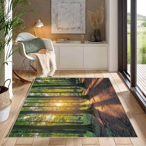 Teppich Schlafzimmer 120x170cm Wunderschöne Landschaft kurzflor Teppich Moderner Vorleger für Wohnzimmer waschbar mit geometrischem Design, weich und schmutzabweisend ER25-29-1074 von Generisch