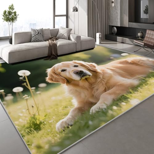Teppich Wohnzimmer 120x160 cm Golden Retriever Tier 3D Druck Grasland Natur Muster Teppich Kaschmirimitat Anti Rutsch Leicht zu reinigen Waschbare Rückseite für Wohn Arbeitsbereiche,Mietwohnungen Teppich Wohnzimmer 120x160 cm Golden Retriever Tier 3D Druck Grasland Natur Muster Teppich Kaschmirimitat Anti Rutsch Leicht zu reinigen Waschbare Rückseite für Wohn Arbeitsbereiche,Mietwohnungen von Generisch