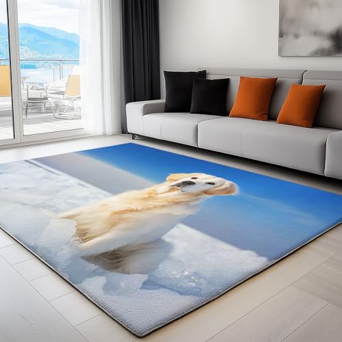 Teppich Wohnzimmer Tier Verschneiter Boden Golden Retriever 60 x 90 cm Flanel Teppich, für Küche Esszimmer und Schlafzimmer Fußmatte Blau Kurzflor Teppiche Extra Weich Pflegeleicht Teppich Wohnzimmer Tier Verschneiter Boden Golden Retriever 60 x 90 cm Flanel Teppich, für Küche Esszimmer und Schlafzimmer Fußmatte Blau Kurzflor Teppiche Extra Weich Pflegeleicht von Generisch