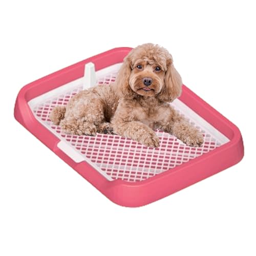 Toilette für Hunde, Hundetoilettentablett - Mesh Grids Flaches Töpfchen-Tablett für Hunde |Leicht zu reinigendes Haustier-Töpfchenzubehör mit Abnehmbarer Säule, einfach einzurichtender Pinkelhalter f Toilette für Hunde, Hundetoilettentablett - Mesh Grids Flaches Töpfchen-Tablett für Hunde |Leicht zu reinigendes Haustier-Töpfchenzubehör mit Abnehmbarer Säule, einfach einzurichtender Pinkelhalter f von Generisch