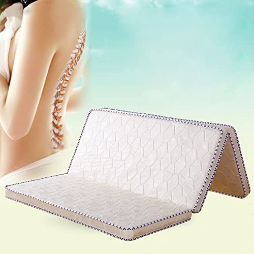 Tragbare dreifach gefaltete Matratzenauflage – weiche, atmungsaktive Isomatte für Wohnzimmer und Schlafsaal, dickes 3E-Kokospalmen-Design, ideal für Komfort und Entspannung (weiß) von Generisch