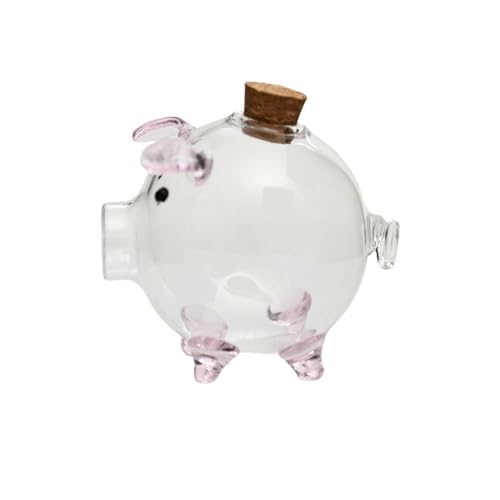 Transparente Spardose – Form Münze Bank Container Box | Tragbare Spardose Transparente Spardose | Spardose | Form Glas Münzsparbox | Klare Spardose | Bargeld Rechnungen von Generisch