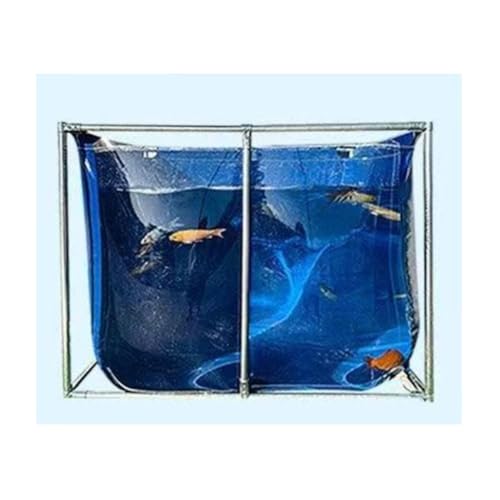 Transparenter Rahmen Swimmingpool für Wasserspiele im Freien, Fischzuchtbeobachtung, einfacher Ablaufauslass Transparenter Rahmen Swimmingpool für Wasserspiele im Freien, Fischzuchtbeobachtung, einfacher Ablaufauslass von Generisch