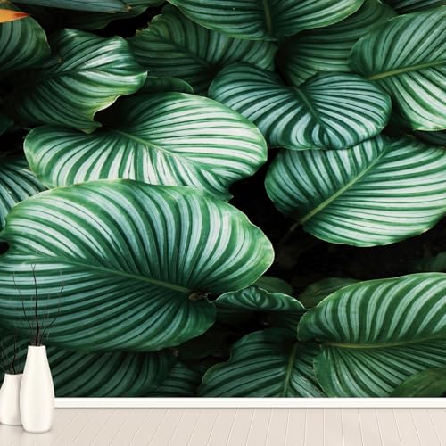 Tropische Blätter Palme Tapete Selbstklebende Fototapete Palme Blatt Wald Dschungel Tapeten Natur Landschaft Wandtapete Vinyl Wasserdicht Wandaufkleber für Wohnzimmer Schlafzimmer Küchen 400x280 cm Tropische Blätter Palme Tapete Selbstklebende Fototapete Palme Blatt Wald Dschungel Tapeten Natur Landschaft Wandtapete Vinyl Wasserdicht Wandaufkleber für Wohnzimmer Schlafzimmer Küchen 400x280 cm von Generisch
