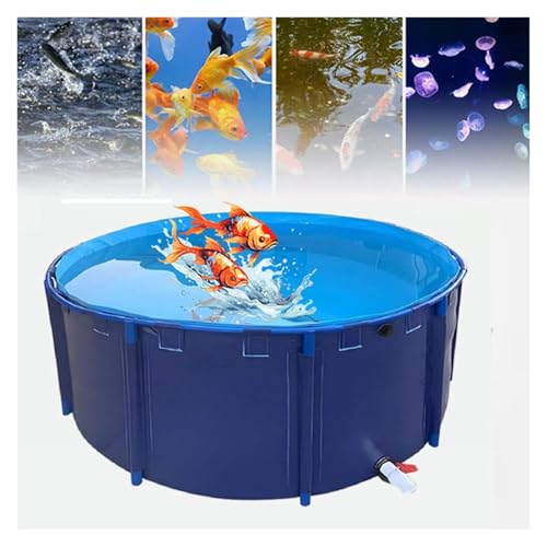 Überirdischer Segeltuch-Fischteich, großes Indoor-Aquarium mit Stahlrahmen, PVC-Klappkoiteich mit Ablassventil für einfache Wartung von Generisch