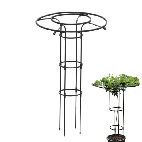 Vertikales Garten-Rankgitter – Metall-Ranken-Pflanzenstütze Rankgitter, stabiles aufrechtes Garten-Rankgitter | hohes rostfreies Turmstützkäfig-Spalier, vertikaler Regenschirm, Garten-Rankgitter, Turm Vertikales Garten-Rankgitter – Metall-Ranken-Pflanzenstütze Rankgitter, stabiles aufrechtes Garten-Rankgitter | hohes rostfreies Turmstützkäfig-Spalier, vertikaler Regenschirm, Garten-Rankgitter, Turm von Generisch
