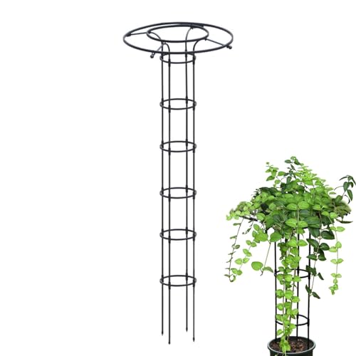 Vertikales Rankgitter für den Garten, rostfreies Metall, vertikaler Regenschirm, Rankgitter für Kletterpflanzen, Topfranken, Gemüse, Blumen, Terrasse, für drinnen und draußen von Generisch