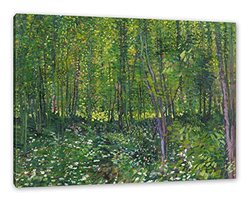 Pixxprint Vincent Van Gogh - Bäume und Unterholz, Größe: 60x40cm, Leinwandbild, fertig gespannt, Wandbild, Dekoration, Kunstdruck, kein Poster Pixxprint Vincent Van Gogh - Bäume und Unterholz, Größe: 60x40cm, Leinwandbild, fertig gespannt, Wandbild, Dekoration, Kunstdruck, kein Poster von Pixxprint