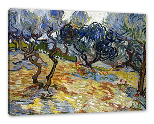 Generisch Vincent Van Gogh - Oliven-Bäume als Leinwandbild/Größe: 100x70 cm/Wandbild/Kunstdruck/fertig bespannt von Generisch