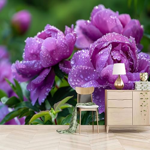Vlies Fototapete 300x210cm Lila Pfingstrosenbusch Selbstklebende Vliestapete - Atmungsaktiv & Schimmelhemmend - Pflanzen Und Blumen Wandtapete Bildtapete 3d Effekt Für Wohnzimmer Schlafzimmer Vlies Fototapete 300x210cm Lila Pfingstrosenbusch Selbstklebende Vliestapete - Atmungsaktiv & Schimmelhemmend - Pflanzen Und Blumen Wandtapete Bildtapete 3d Effekt Für Wohnzimmer Schlafzimmer von Generisch