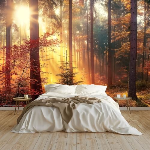 Vlies Fototapete Wald und Sonnenschein Naturlandschaft 250 x 175 cm - Fototapete Hotel Spa Wohnzimmer Moderne Vliestapete XXL Wandtapete Motivtapeten Bildtapete 3d Effekt Wand Dekoration Vlies Fototapete Wald und Sonnenschein Naturlandschaft 250 x 175 cm - Fototapete Hotel Spa Wohnzimmer Moderne Vliestapete XXL Wandtapete Motivtapeten Bildtapete 3d Effekt Wand Dekoration von Generisch