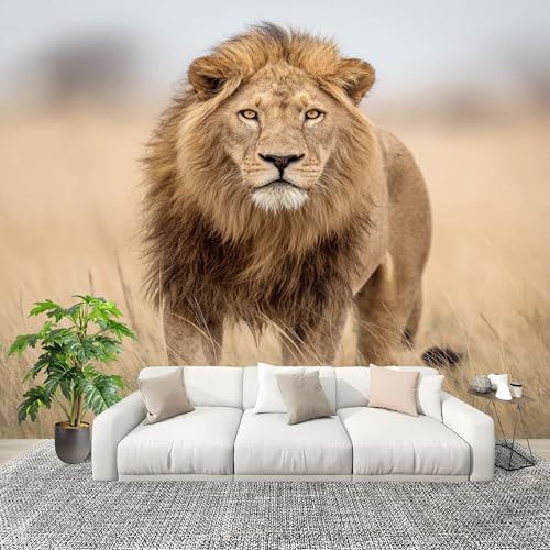 Vlies Wandbild 250x175cm Tiere Afrikanischer GraslandlöWe Fototapeten Wasserdicht Kunstdrucke Wanddeko Hellgelb Fototapete für Schlafzimmer Spielzimmer Küche Heimdekoration Wandtattoo von Generisch