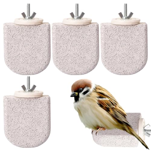 Vogelsitz,4er Set Vulkangestein Gefrorene Sittichkäfig Sitzstange,Nagestab Spielzeug Beschäftigung Für Papageien Conure Unzertrennliche Nymphensittich - Außentraining Nest von Generisch